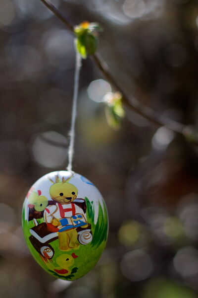 Bemaltes Osterei an einem Osterbaum
